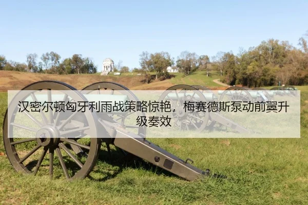 han-mi-er-dun-xiong-ya-li-yu-zhan-ce-lve-jing-yan-mei-sai-de-si-beng-dong-qian-yi-sheng-ji-zou-xiao-3-763.jpg