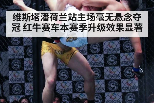 维斯塔潘荷兰站主场毫无悬念夺冠 红牛赛车本赛季升级效果显著