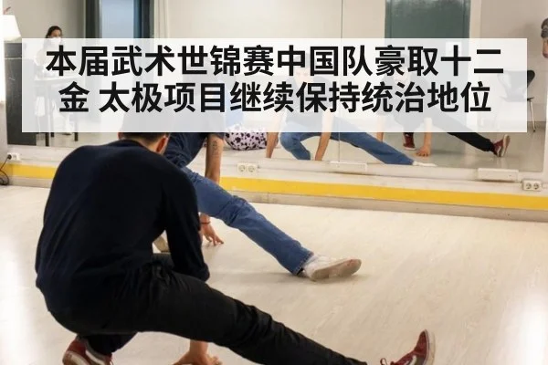 本届武术世锦赛中国队豪取十二金 太极项目继续保持统治地位
