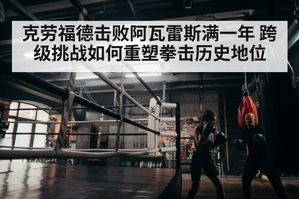 boxer training gym