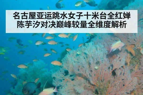名古屋亚运跳水女子十米台全红婵陈芋汐对决巅峰较量全维度解析